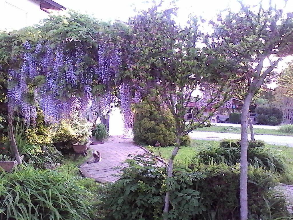 B&B Cm Ranch Κούνεο Εξωτερικό φωτογραφία